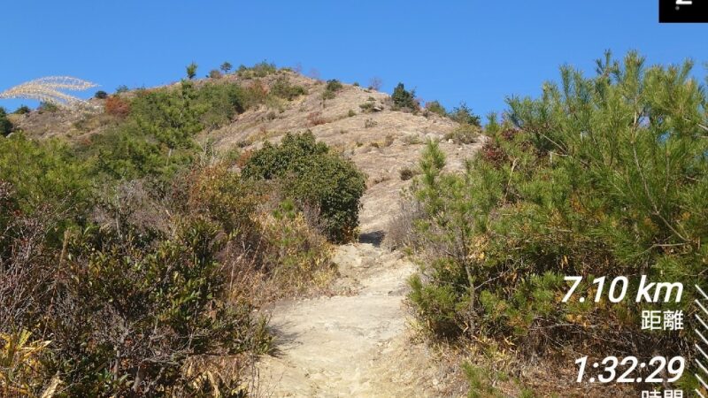 店長の週に一度の山登り日誌23/12/10