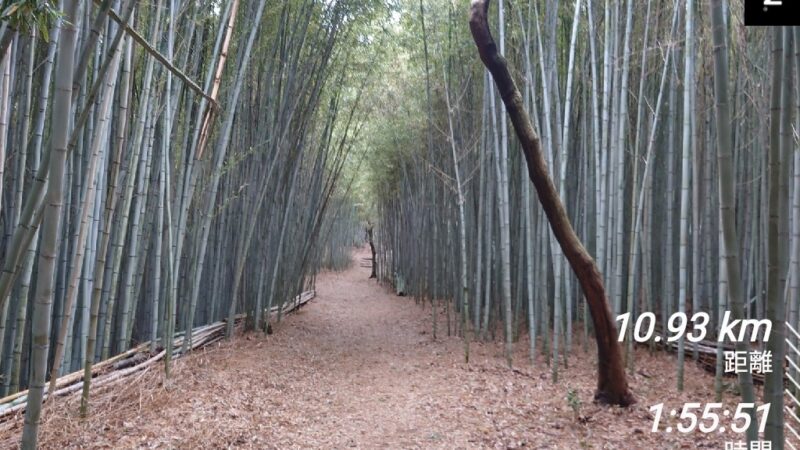 店長の週に一度の山登り日誌24/2/23