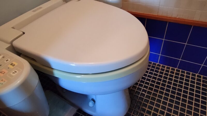 座る動作がしんどい・・、トイレの便座を交換しました！