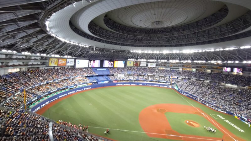 最初で最後かも！？贅沢な野球観戦させて頂きました。