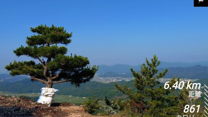 店長の週に一度の山登り日誌25/６/29