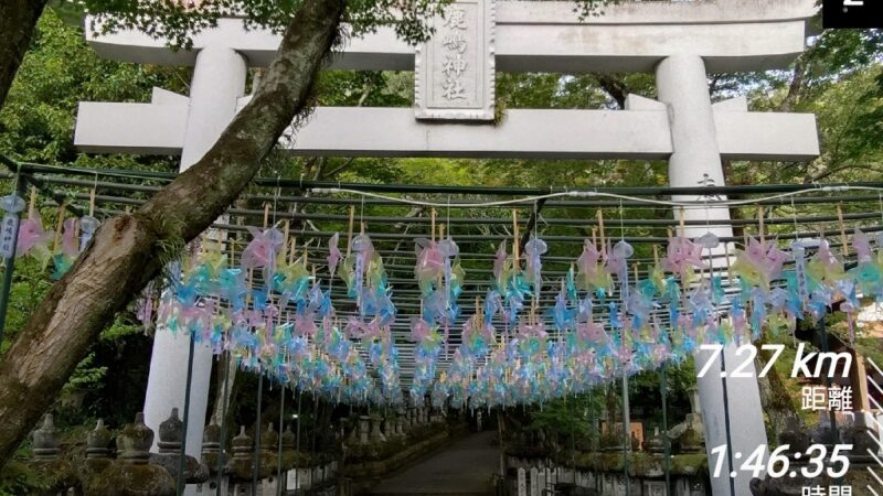 店長の週に一度の山登り日誌25/７/６