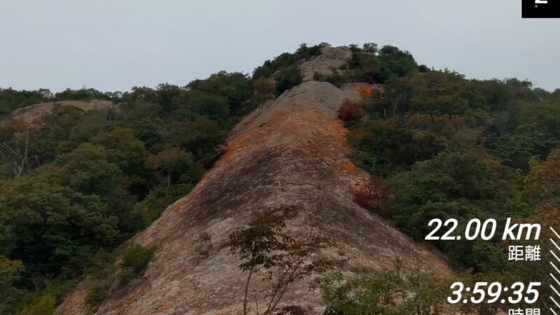 店長の週に一度の山登り日誌25/10/12