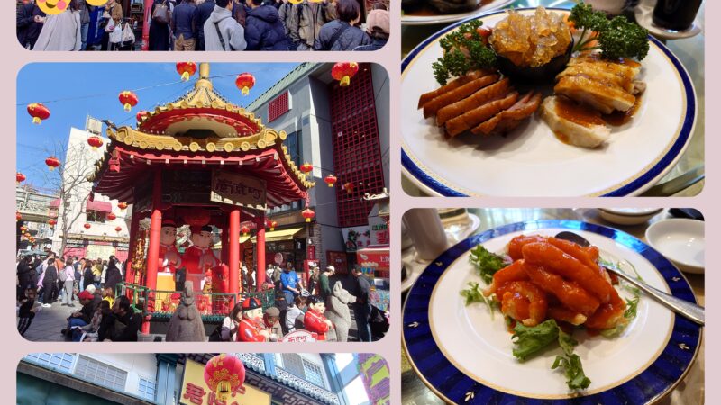 週に一度のスタッフブログ（25年11月4週分）