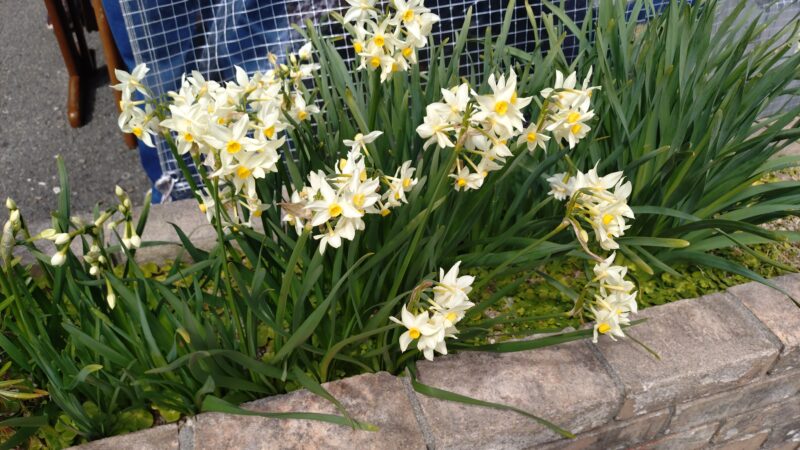 フクデンの売出し展示会最終日、もしよろしければ！