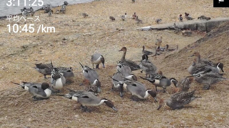 店長の週に一度の山登り日誌26/3/8