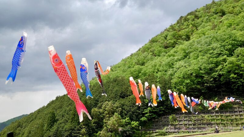 週に一度のスタッフブログ（26年5月4週分）