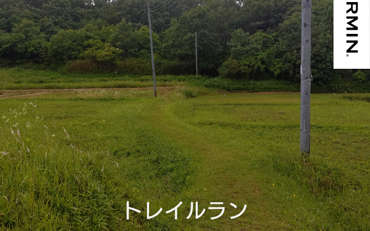 店長の週に一度の山登り日誌26/6/7