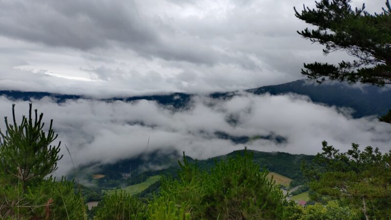 店長の週に一度の山登り日誌26/7/5