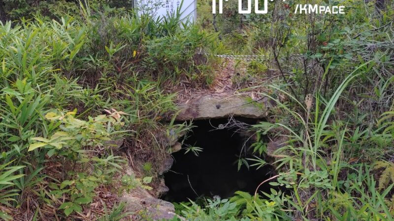 店長の週に一度の山登り日誌26/7/26