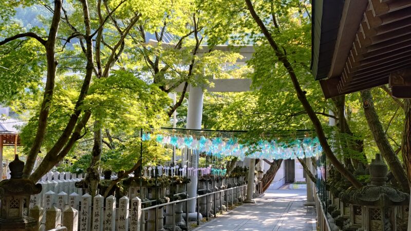店長の週に一度の山登り日誌26/8/2