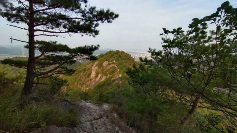 店長の週に一度の山登り日誌26/8/29